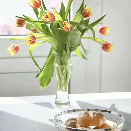 Meerhus 4 방어로게